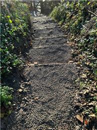 Refurbished steps at Dragon Wood